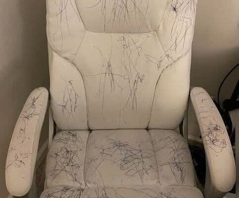Easy Ways to Remove Pen Stains from Your Office Furniture