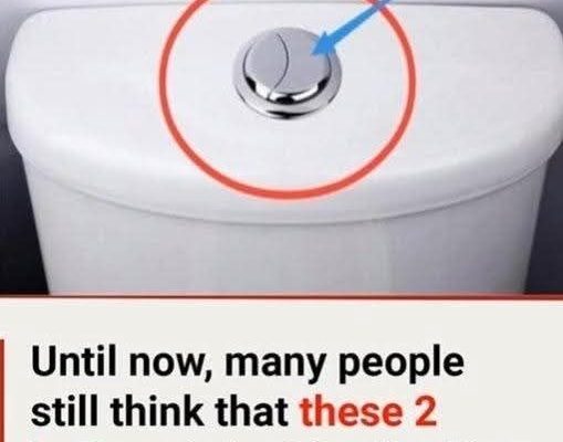 Many People Still Think That These 2 Buttons Are Just for Flushing