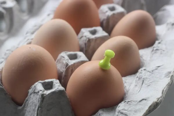 Chef’s Clever Hack for Perfectly Peeled Hard-Boiled Eggs – Diy Home Garden